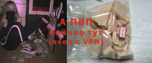 прущие грибы Баксан