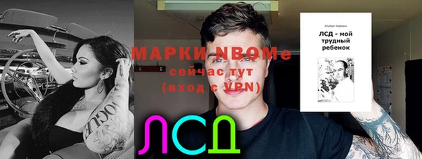 прущие грибы Баксан