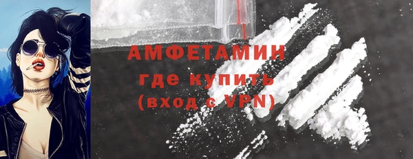 прущие грибы Баксан